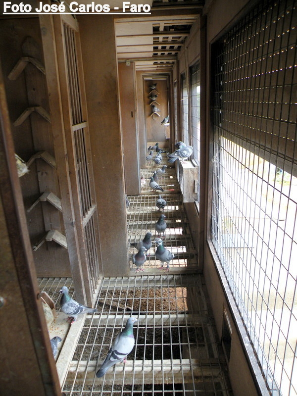 Lagos 028.JPG Lagos 028.JPG