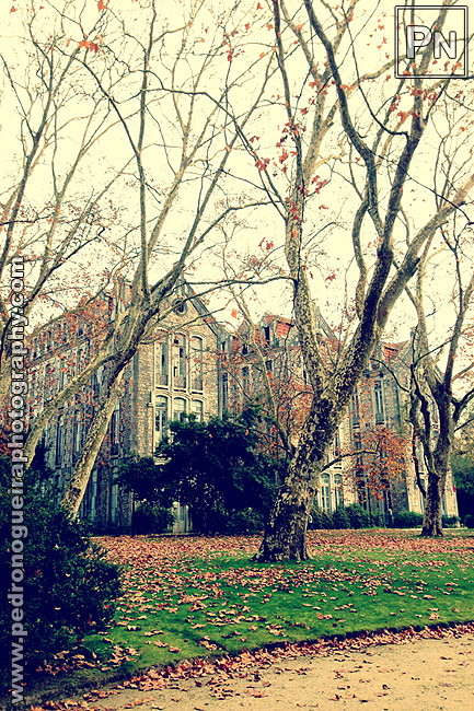 Dez_2015_014c 650px Dez_2015_014c 650px