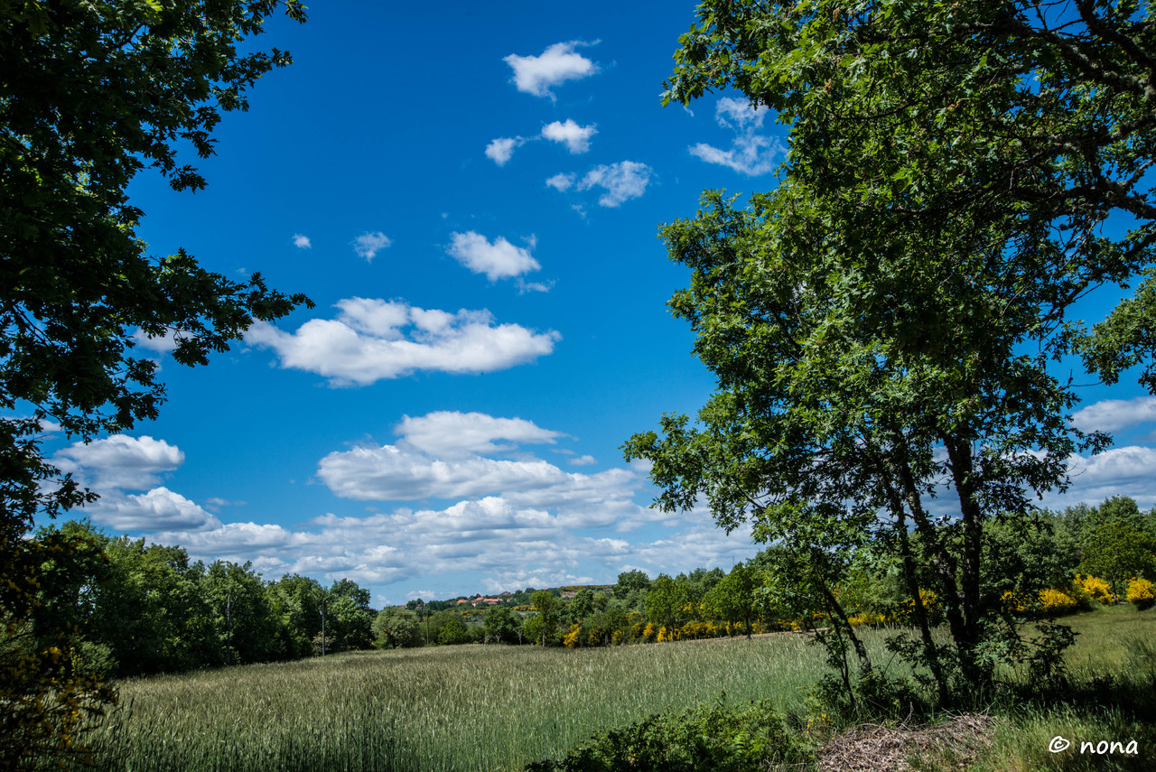 26.- Vagueando pela Montanha.jpg