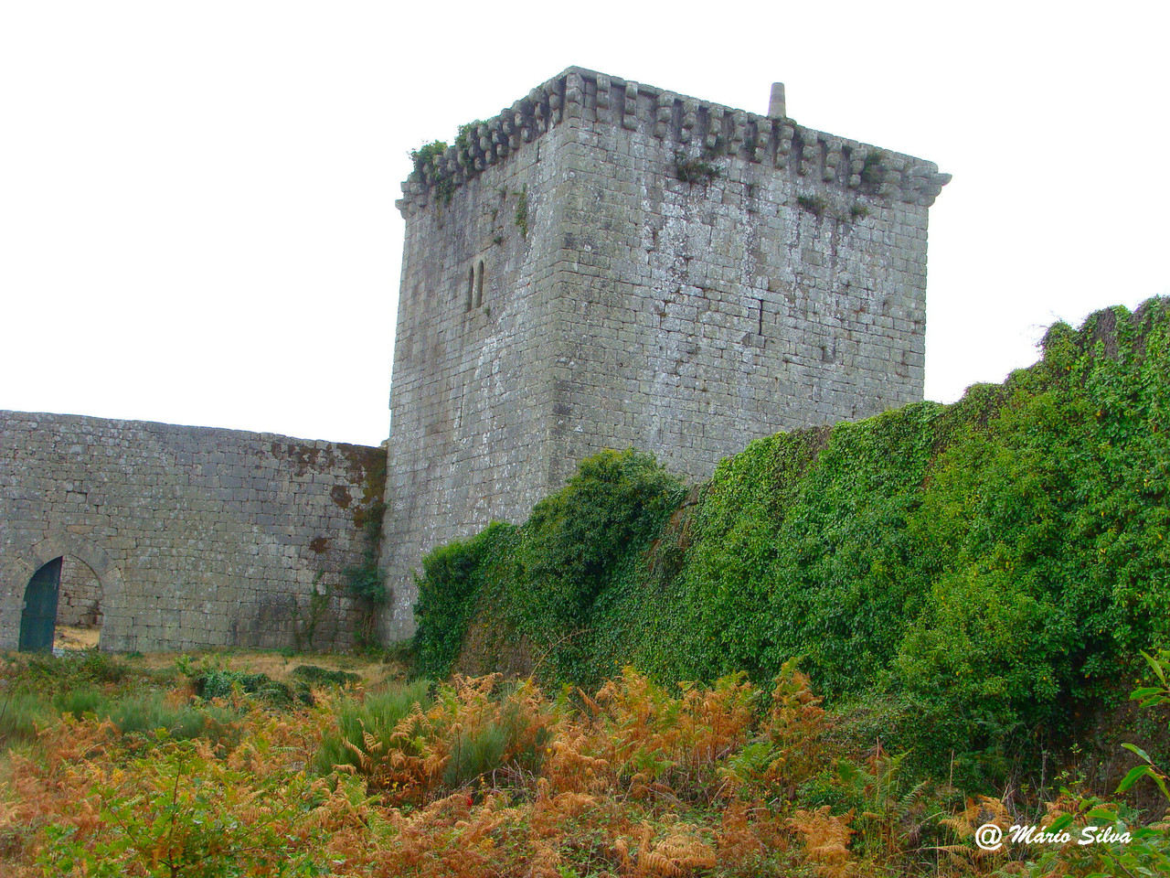 DSC01175ms Nov 09.JPG