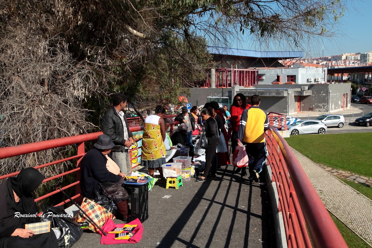 aqui também há feiras (005)