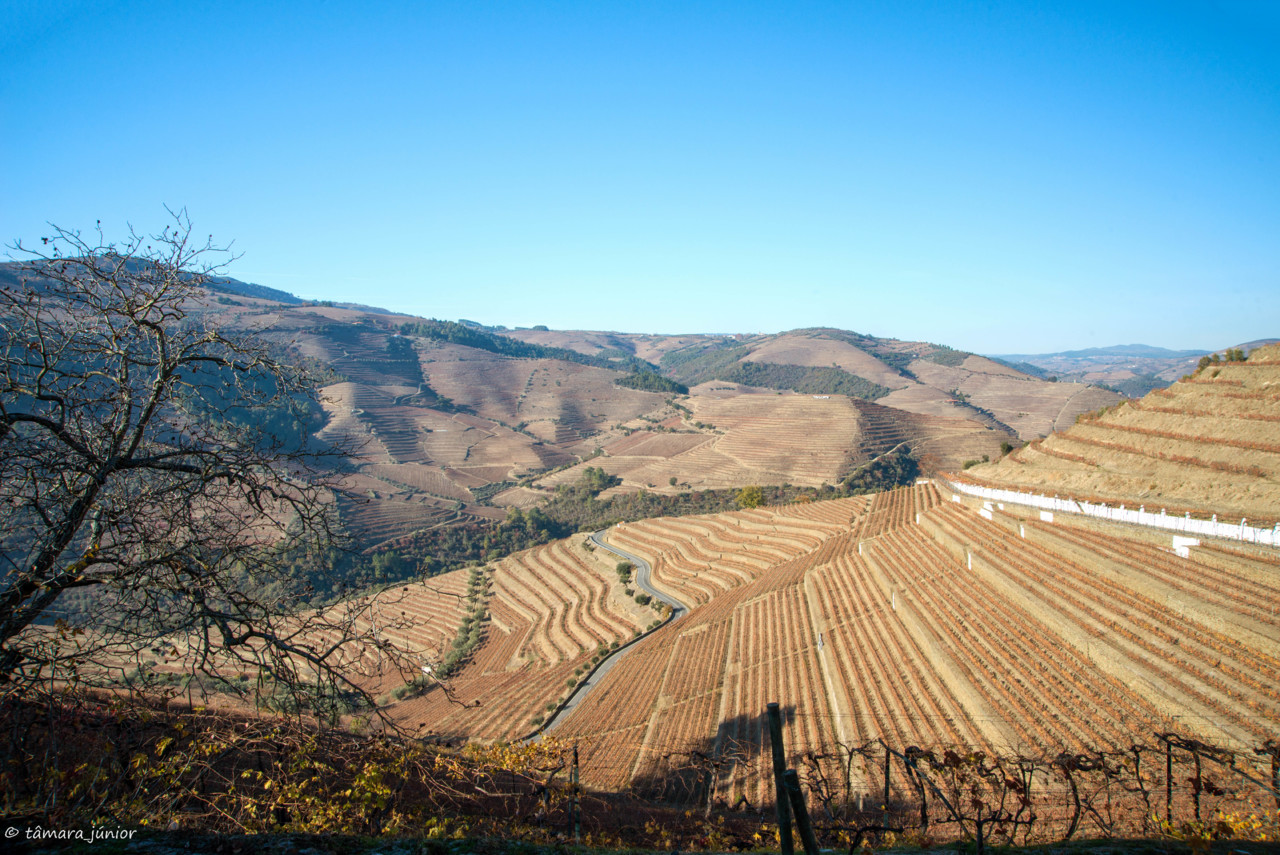 2017.- Pelo Douro no outono II (520).jpg 2017.- Pelo Douro no outono II (520).jpg