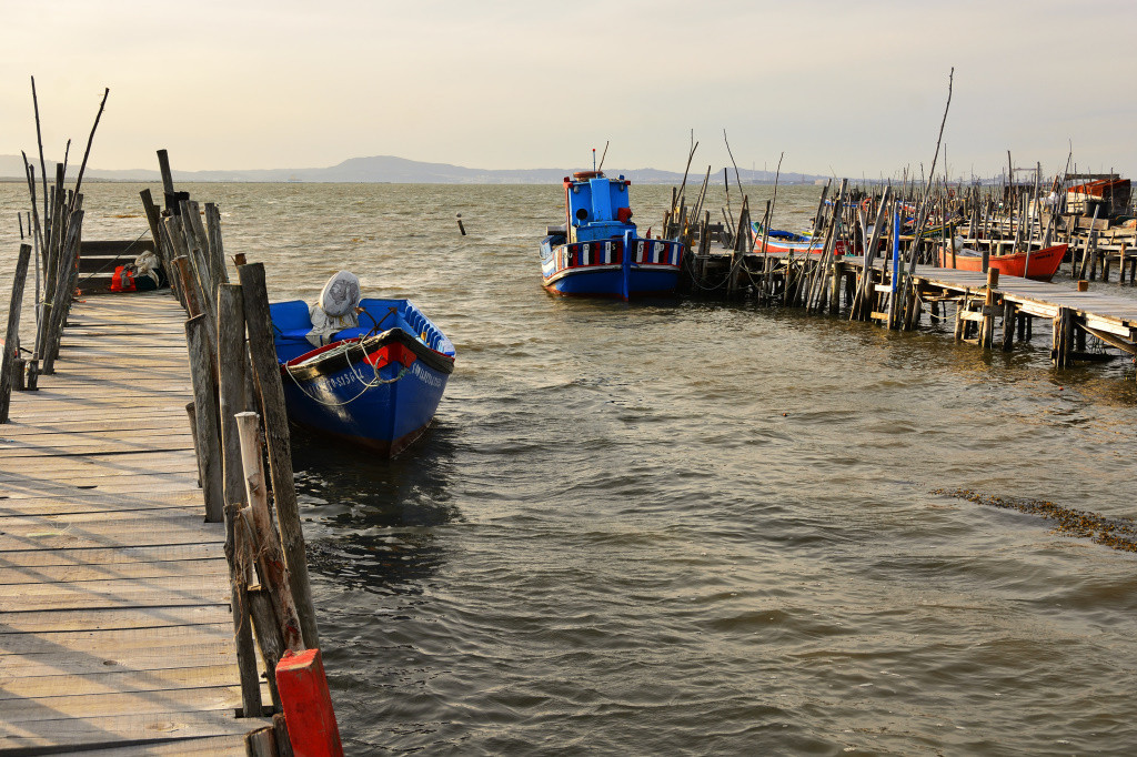 DSC_2914_01_00008.jpg DSC_2914_01_00008.jpg