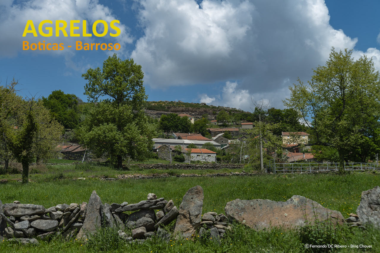 1600-agrelos (2).jpg 1600-agrelos (2).jpg