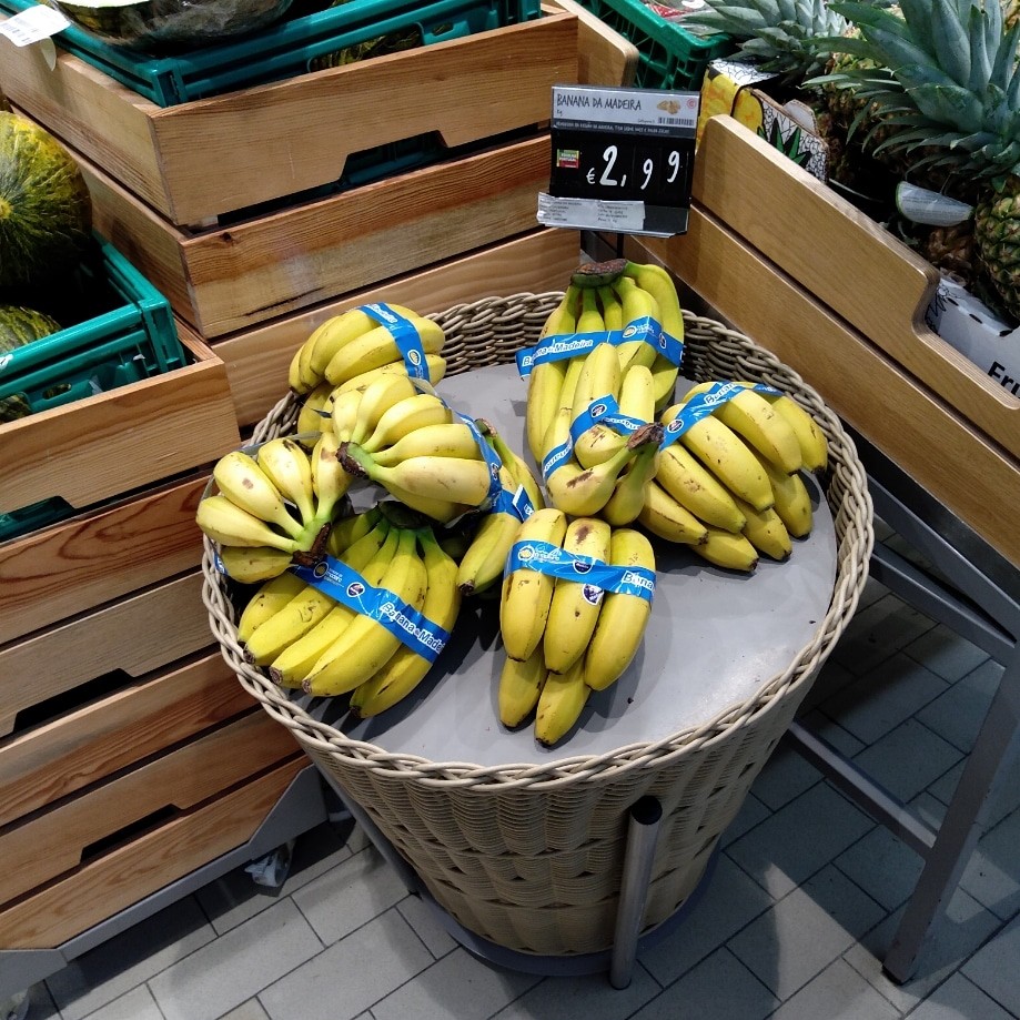 IMG_20200306_195542_027.jpg IMG_20200306_195542_027.jpg