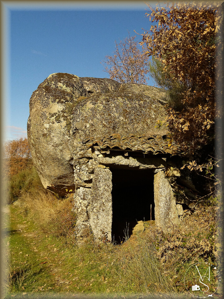 04Dez DSC03398_ms.JPG