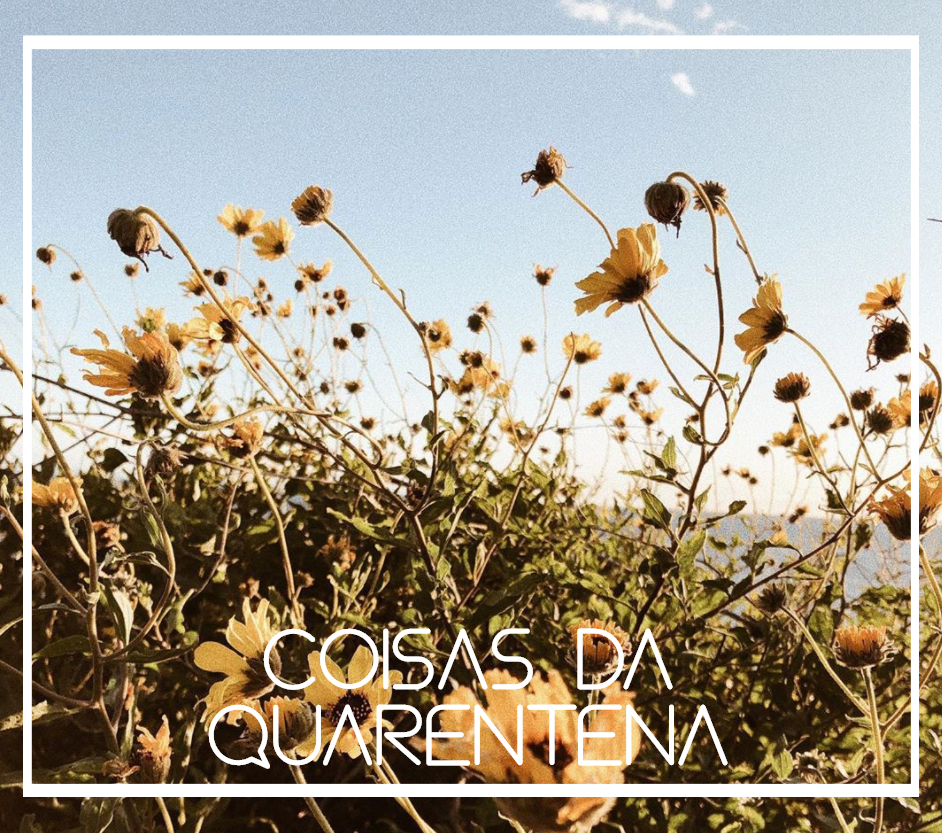 coisas-quarentena-mar-maio.png coisas-quarentena-mar-maio.png