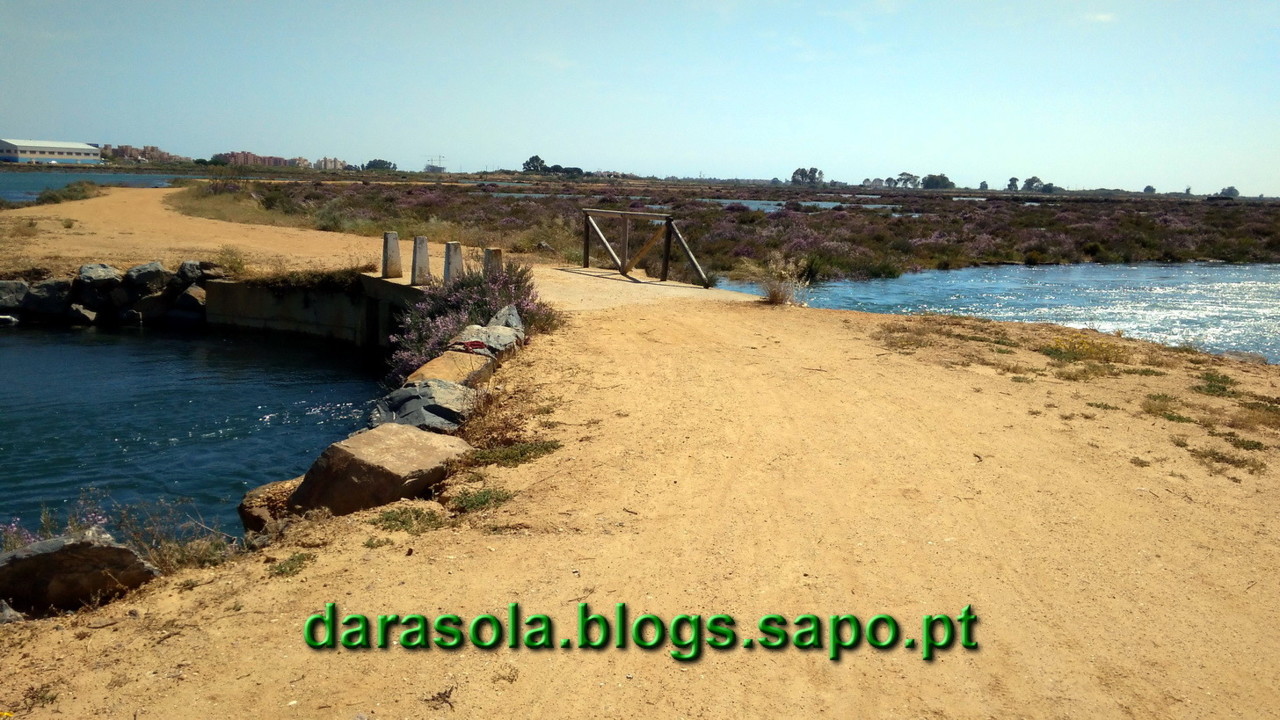 Maresmas_Isla_Canela_23.jpg Maresmas_Isla_Canela_23.jpg