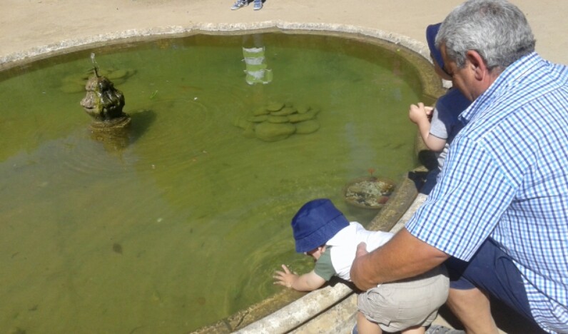 2016-09-12 09.25.54.jpg 2016-09-12 09.25.54.jpg