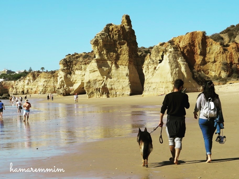 IMG_20171111_132734_089.jpg IMG_20171111_132734_089.jpg