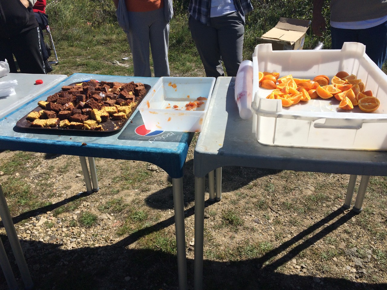 IMG_8516.JPG IMG_8516.JPG