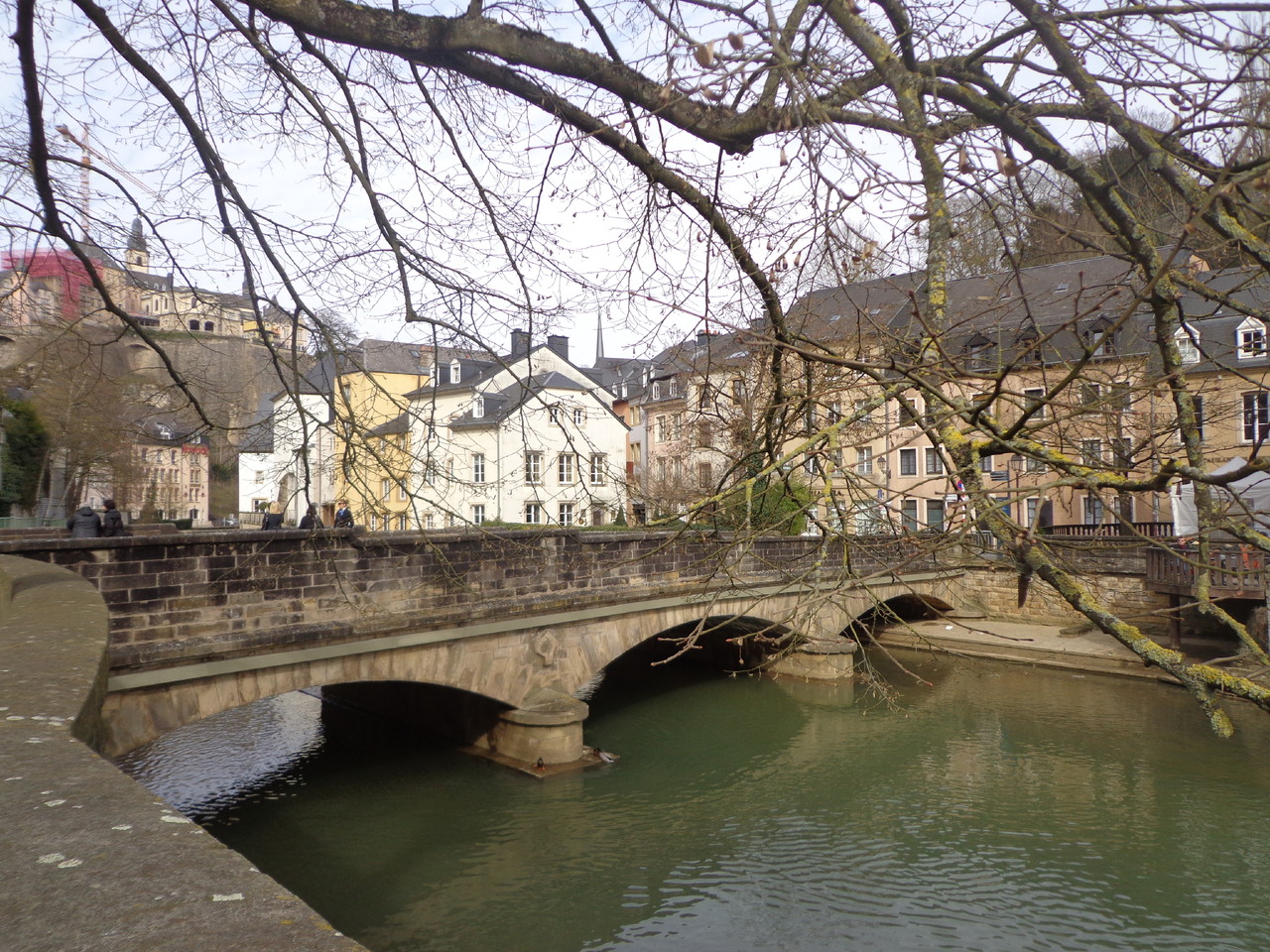 DSC02977.JPG DSC02977.JPG