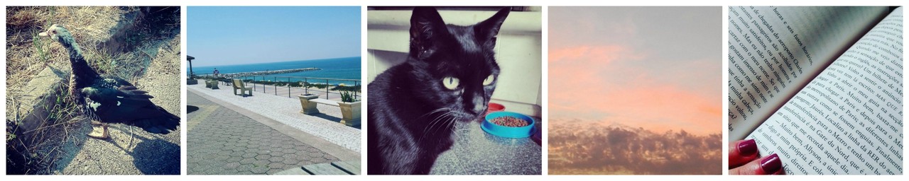 PicMonkey Collage11.jpg