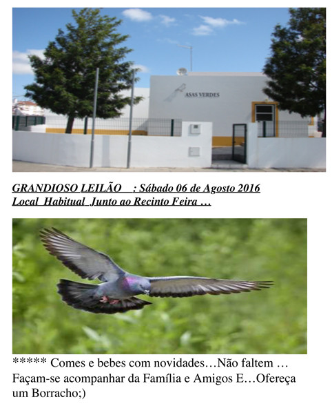Leilão Asas Verdes.jpg