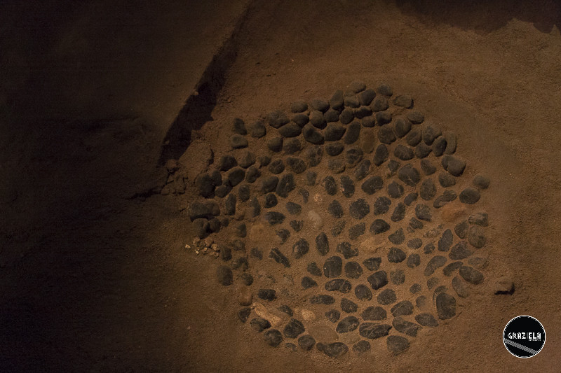 _MG_9724-22.jpg _MG_9724-22.jpg