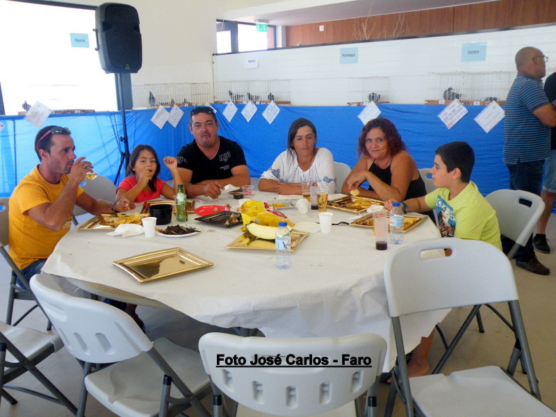 Leilão Serpa 2017 070.JPG