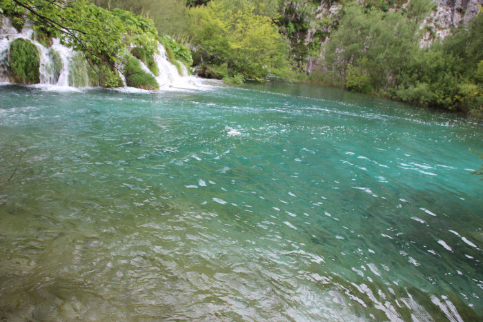 img_9692.jpg img_9692.jpg