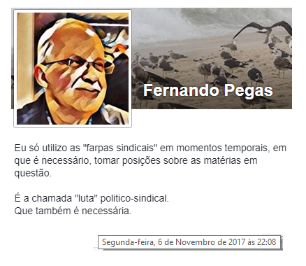 FernandoPegas3.png