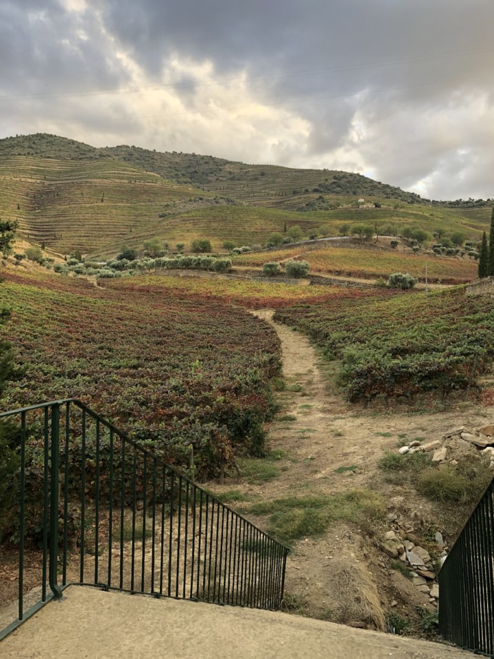 9EF2F316-B855-438A-85A9-AA0E976BC5DA.jpeg 9EF2F316-B855-438A-85A9-AA0E976BC5DA.jpeg