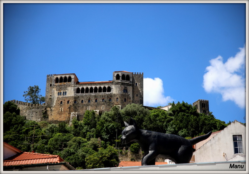 IMG_6321.JPG IMG_6321.JPG