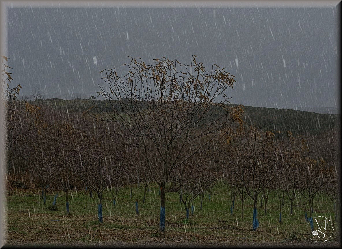 27Dez Gemini_Generated_Image_8svu4j8svu4j8svu_ms.j