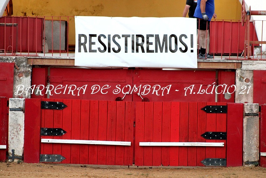 IMG_1002.JPG IMG_1002.JPG