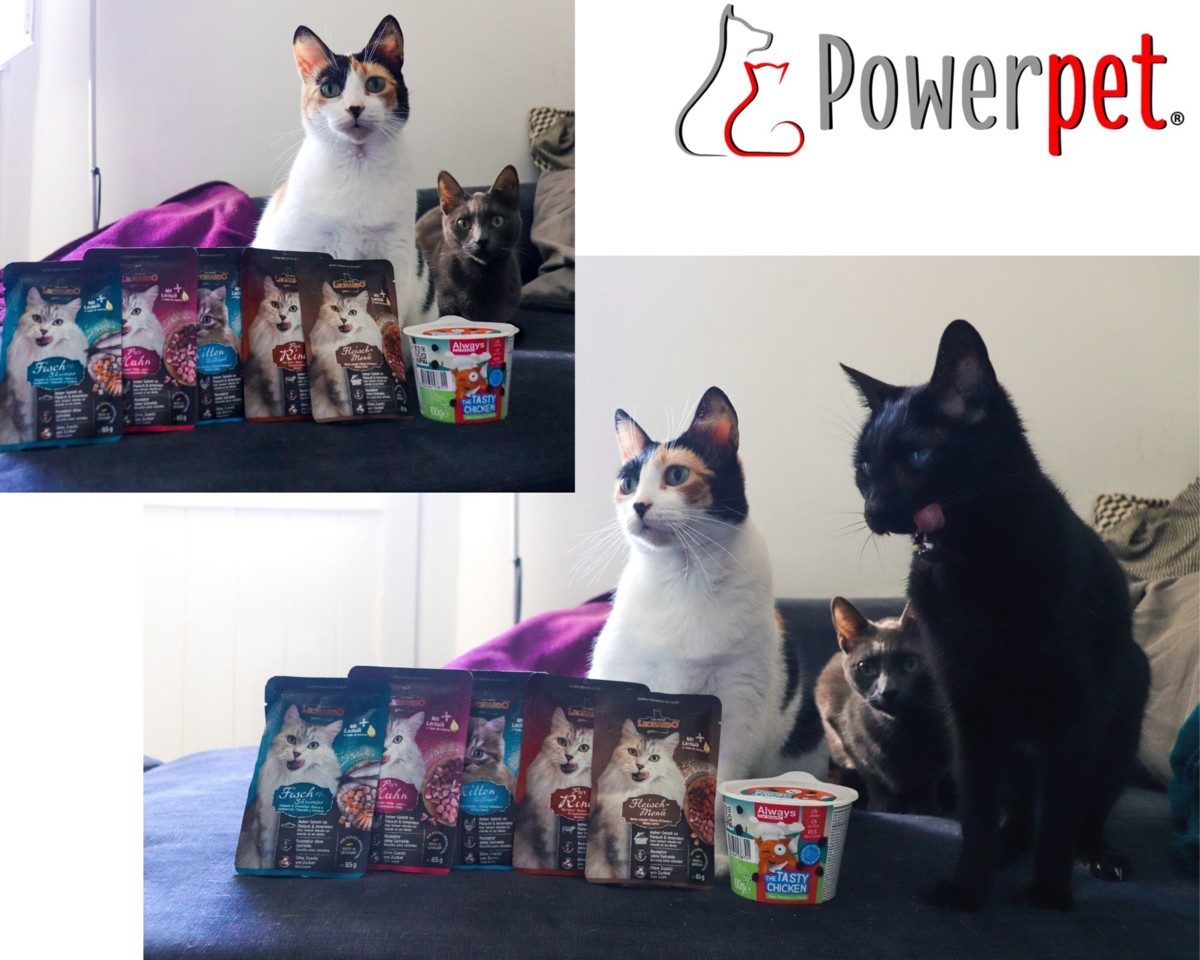 PowerpetCats.jpg PowerpetCats.jpg