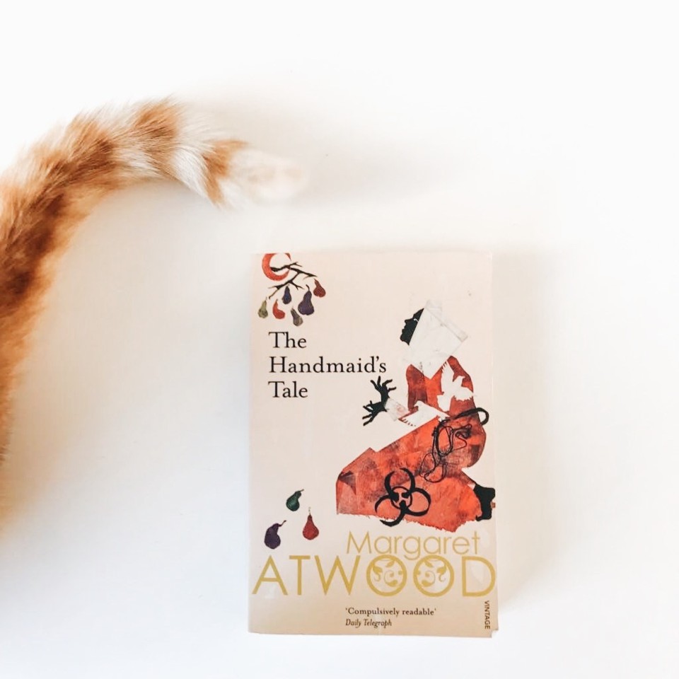 the-handmaid&#39;s-tale.jpg