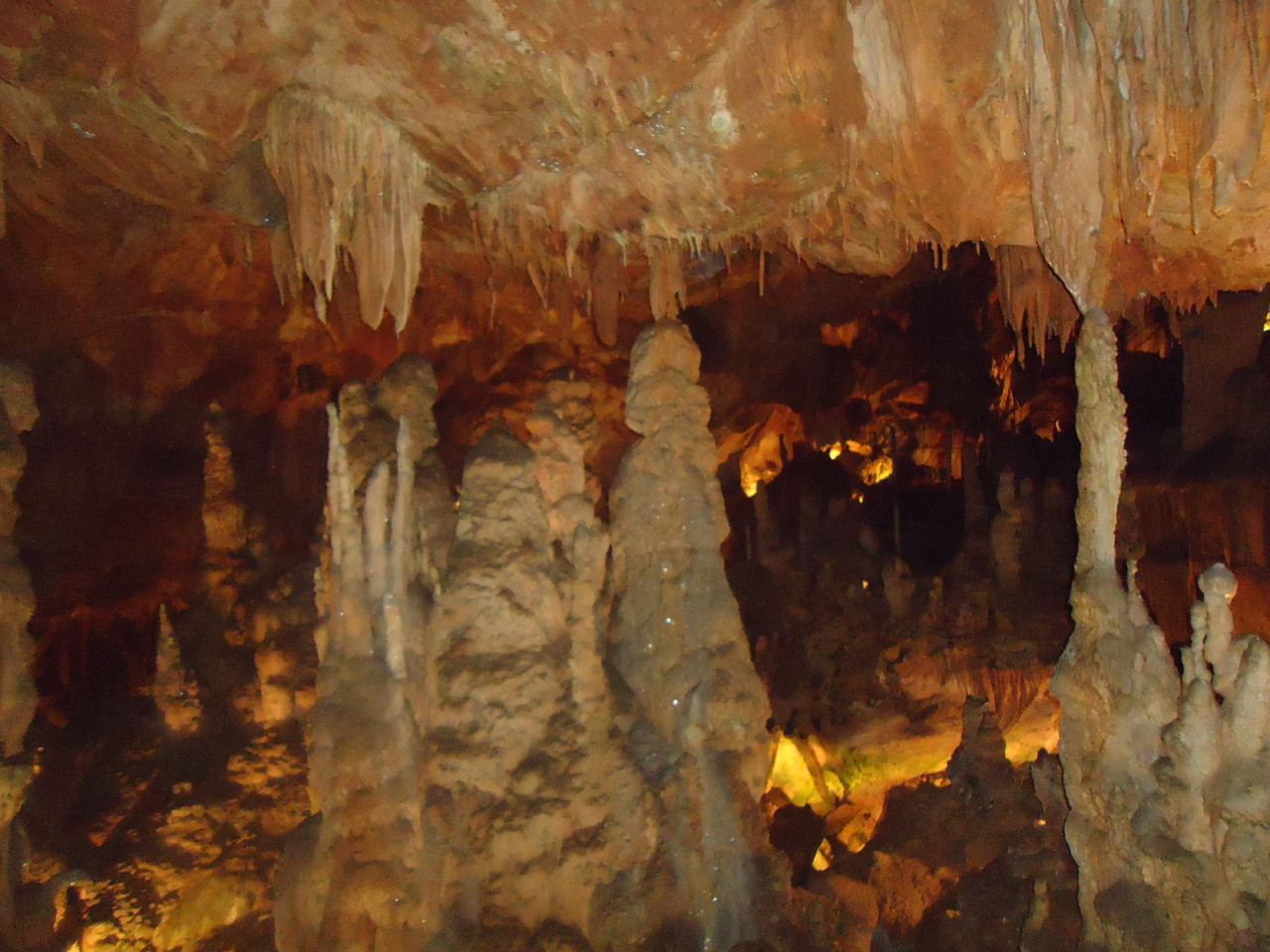 DSC07801.JPG DSC07801.JPG