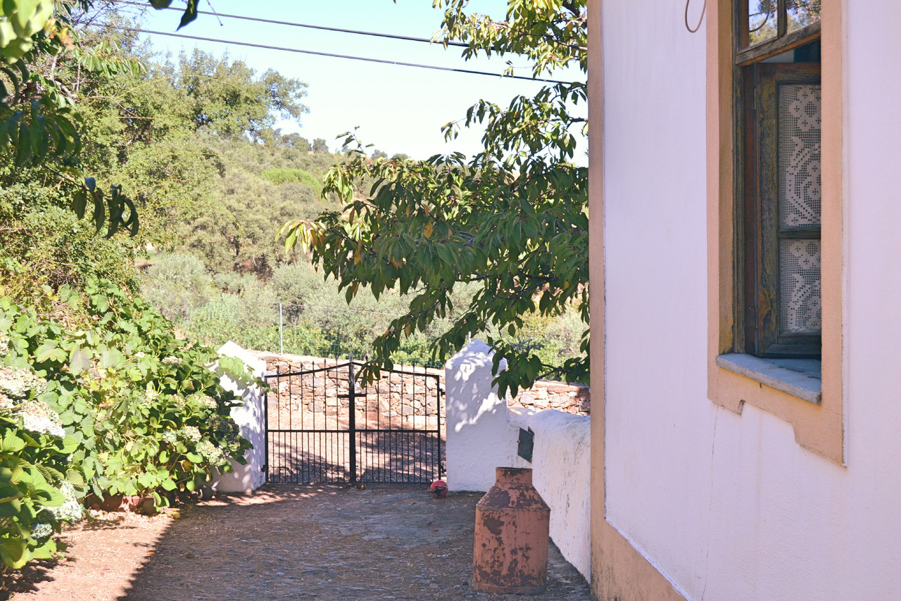 DSC_0263_Fotor.jpg DSC_0263_Fotor.jpg