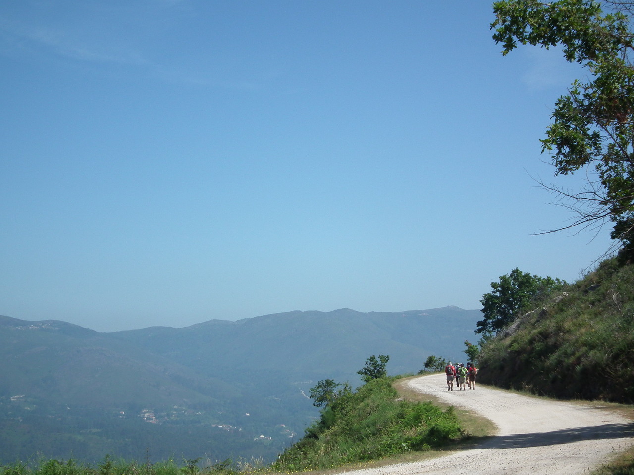 DSCF2179.JPG DSCF2179.JPG