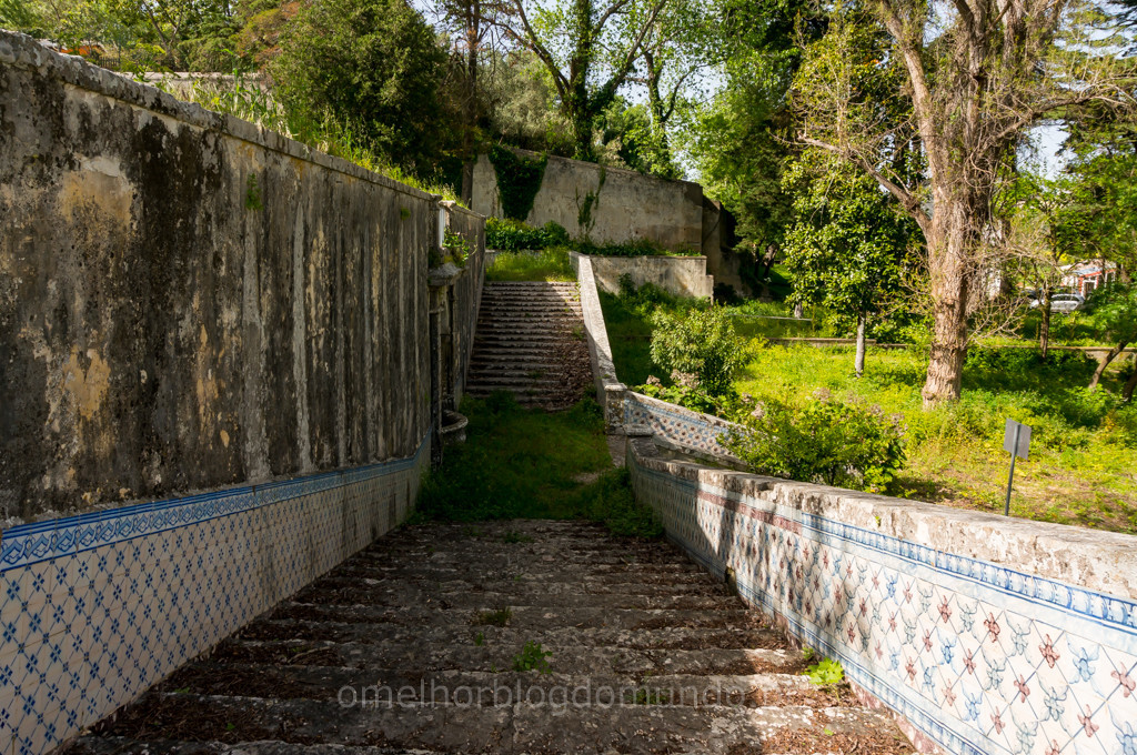 _DSC5894.jpg _DSC5894.jpg