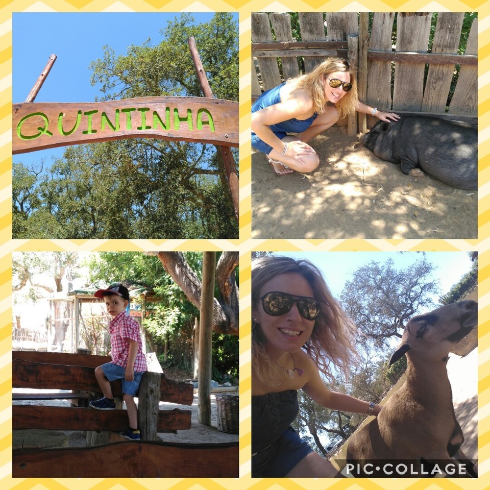 Collage 2017-07-22 22_52_08.jpg Collage 2017-07-22 22_52_08.jpg