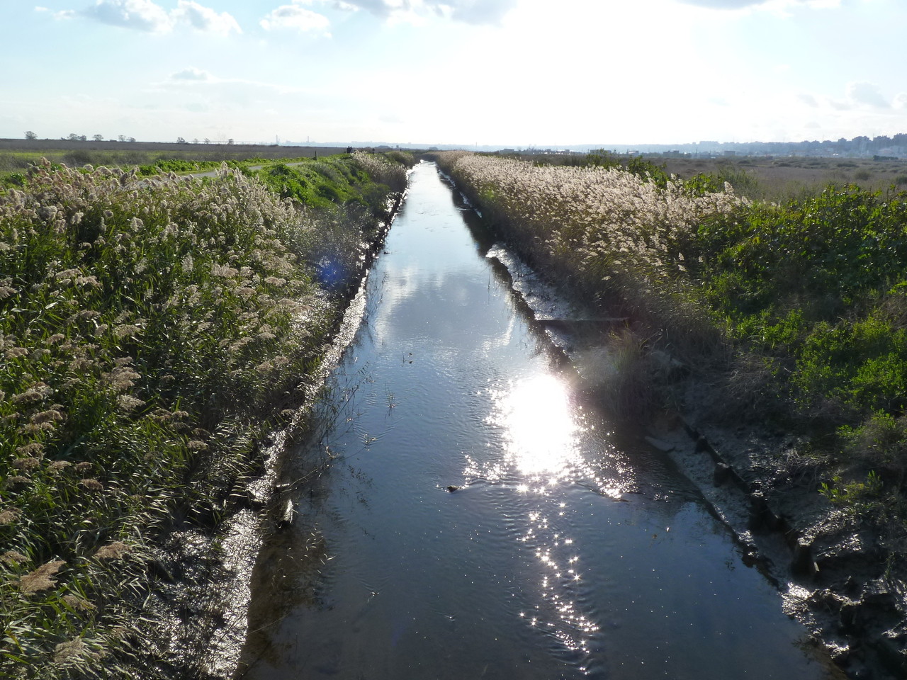 Parque Linear Ribeirinho do Estuário do Tejo (29)