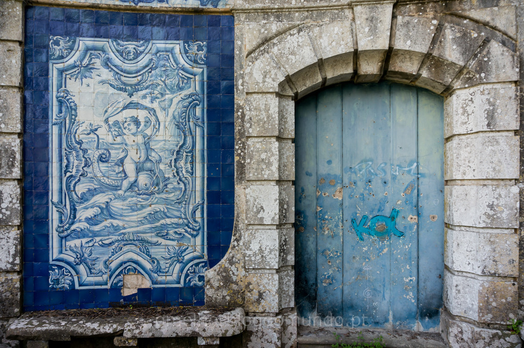 _DSC5942.jpg _DSC5942.jpg