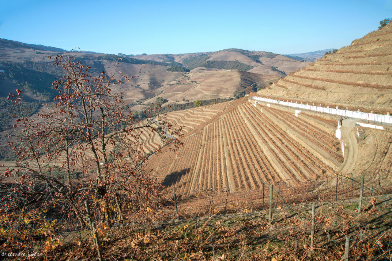 2017.- Pelo Douro no outono II (531).jpg 2017.- Pelo Douro no outono II (531).jpg