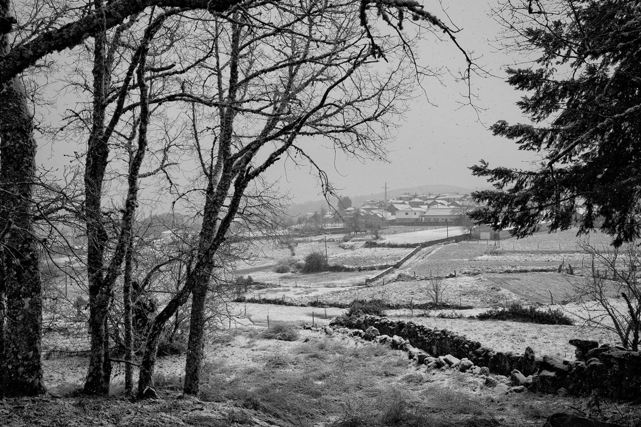 DSCF3387 - cópia copy.jpg