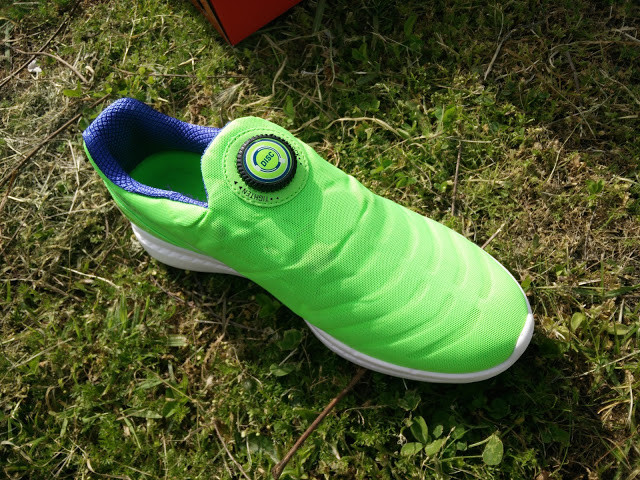 IMG_20160429_170912.jpg IMG_20160429_170912.jpg