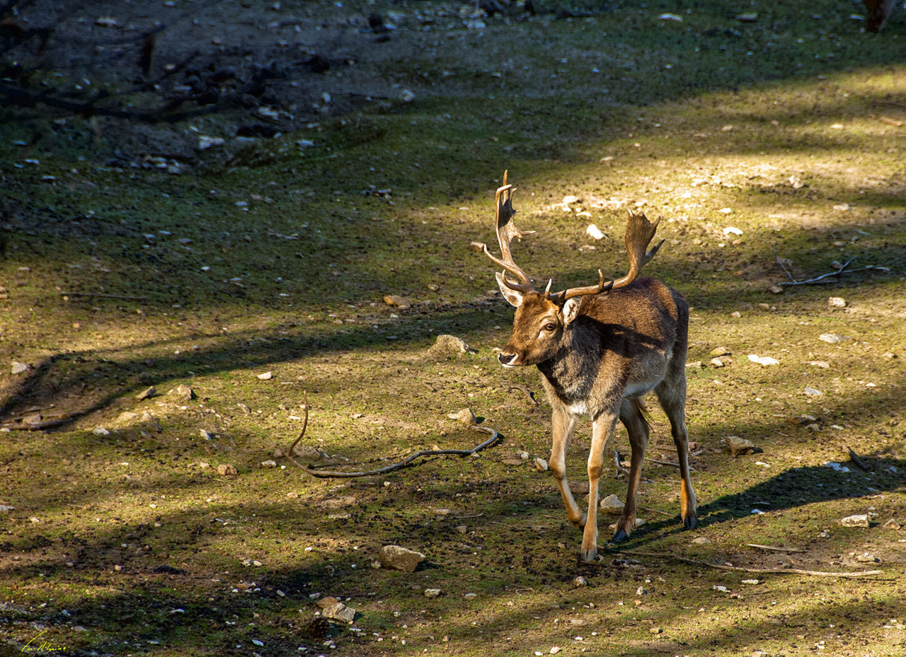 1600-rebentao (124).jpg