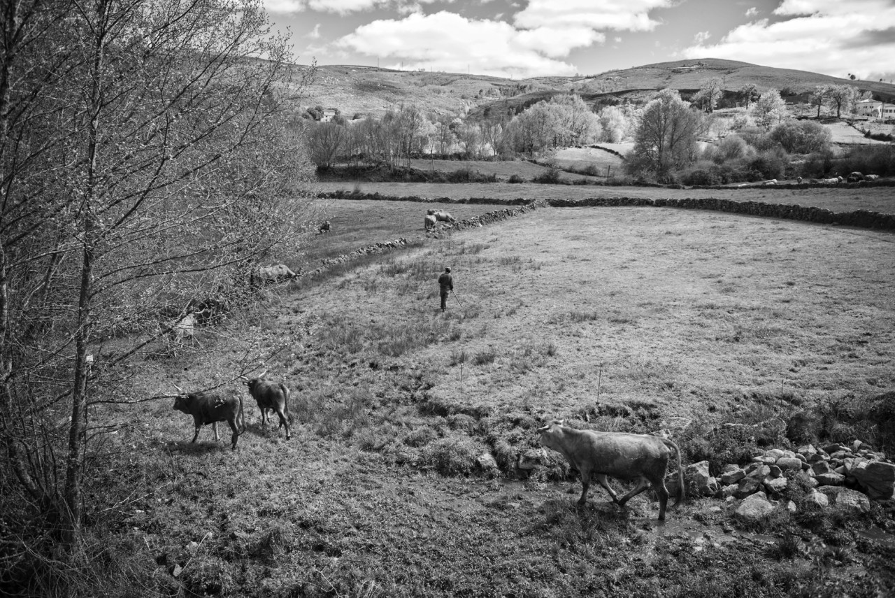 _JMF1789 - cópia copy.jpg _JMF1789 - cópia copy.jpg