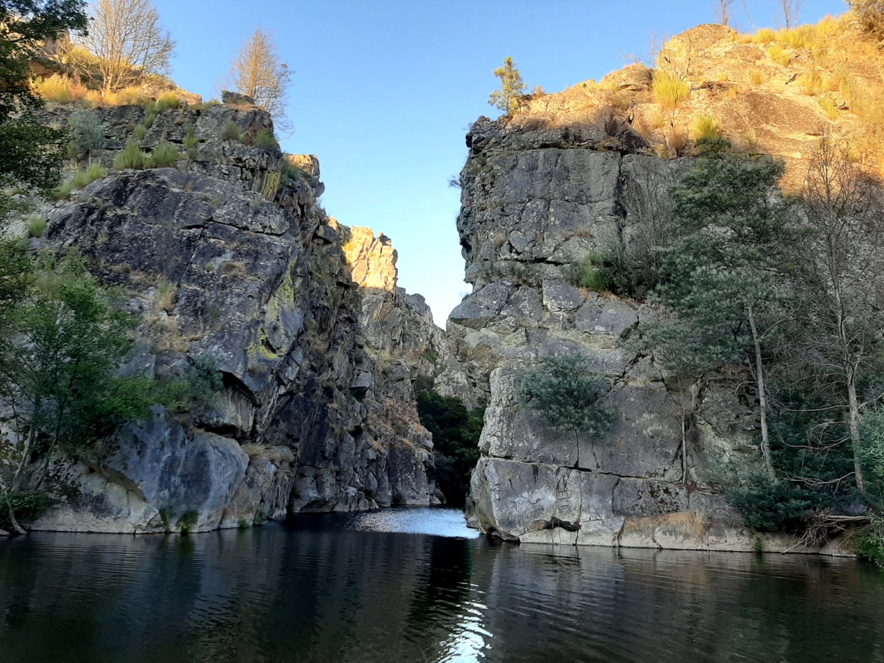 20200725_201455.jpg 20200725_201455.jpg