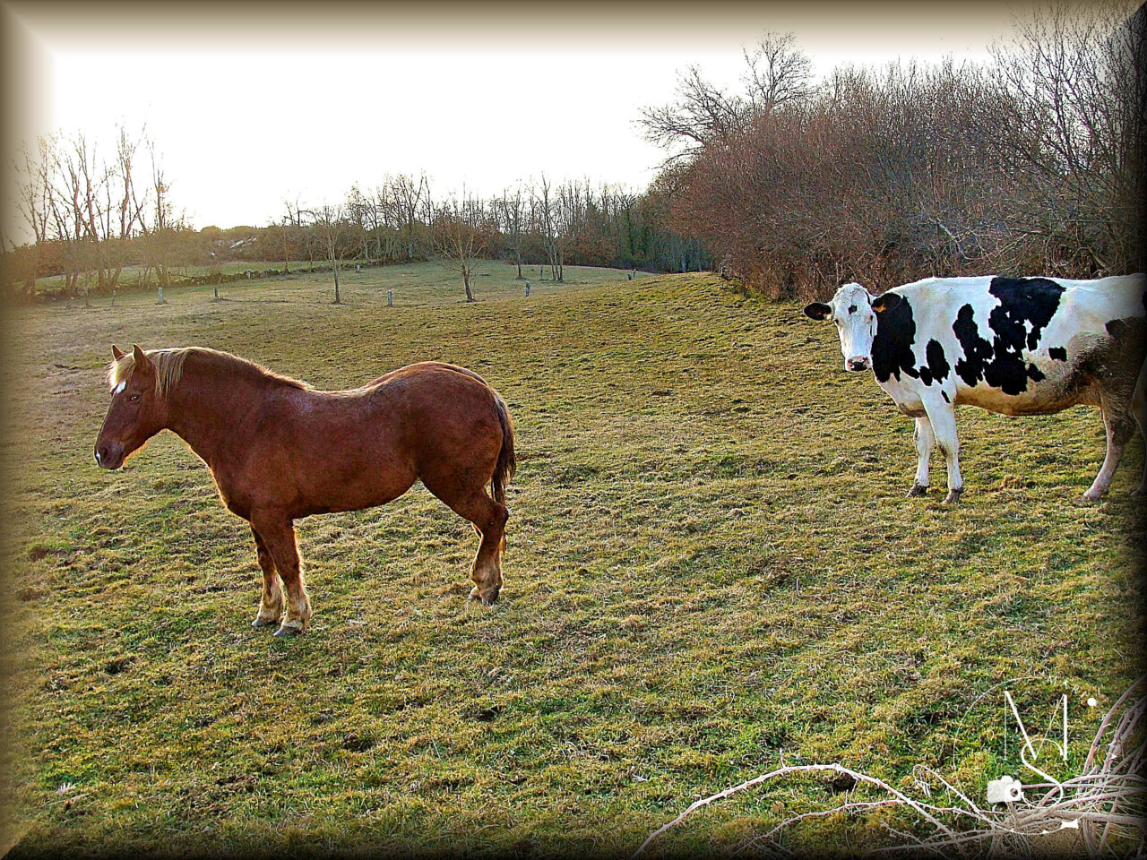 30Jan DSC09399_ms.jpg