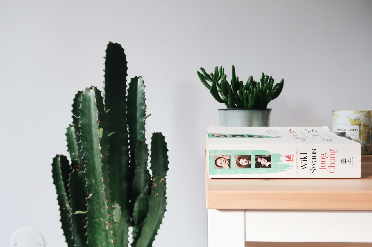 2019-07-29 11.31.30 2.jpg