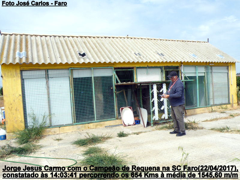 Requena 2017 003.JPG