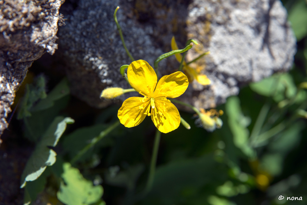 22.- Vagueando pela Montanha.jpg