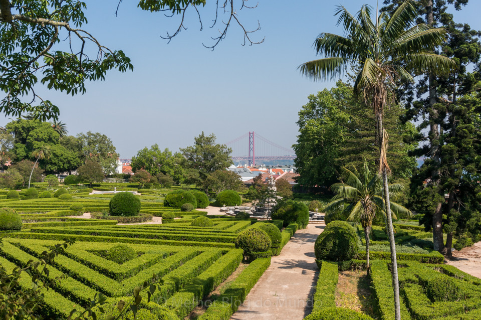 DSC00036.jpg DSC00036.jpg