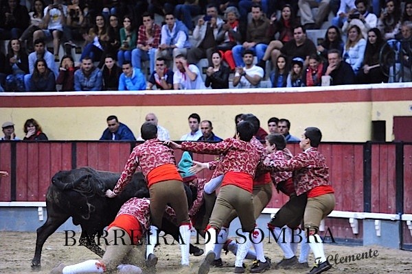 barreira de sombra09-09-14-DSC_9712.JPG barreira de sombra09-09-14-DSC_9712.JPG