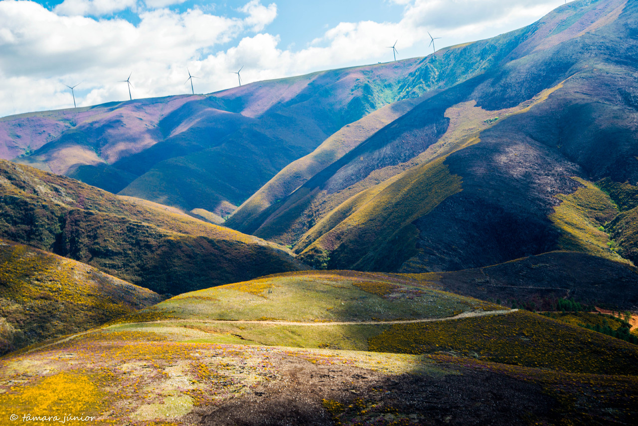 2015 - Alvarenga-Senhora da Mó-Regoufe-Drave (659