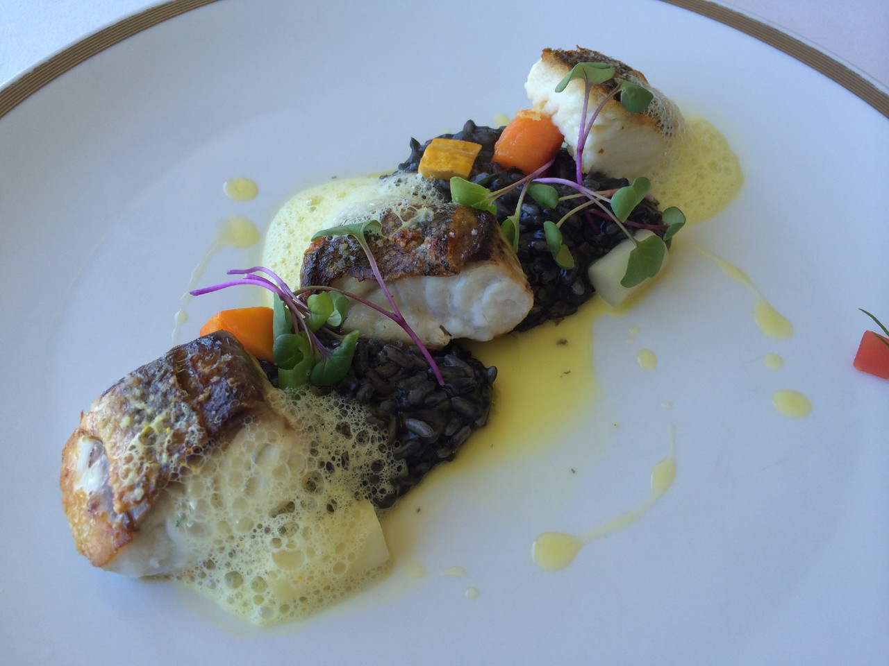 IMG_4814.JPG IMG_4814.JPG