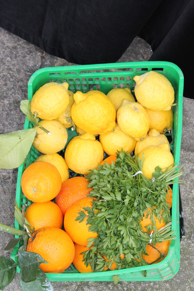 IMG_0417 - Cópia.JPG